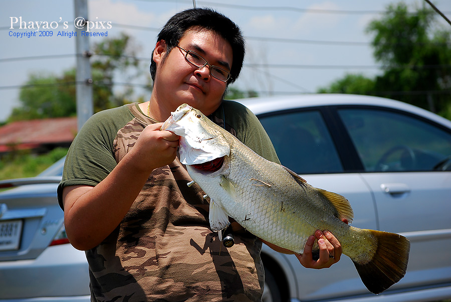 

ตัวใหญ่  มิ้งก็มีครับ เพ่    :laughing: :laughing: :laughing: :laughing: