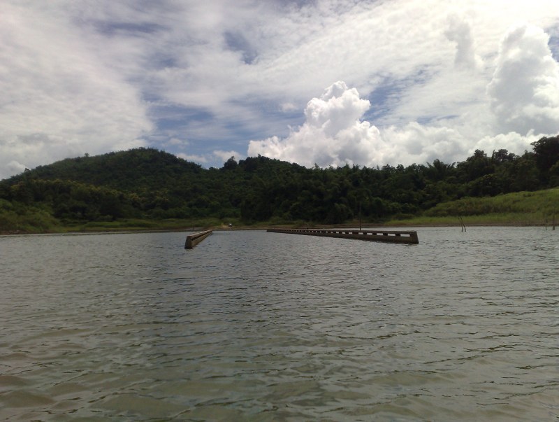 น้ำลดสะพานโผล่

เขื่อน ปล่อยน้ำติดต่อกันหลายวัน

ปลาป่าไม่ต้องพูดถึง 

ปลาจิบอย่างเดียว แต่...