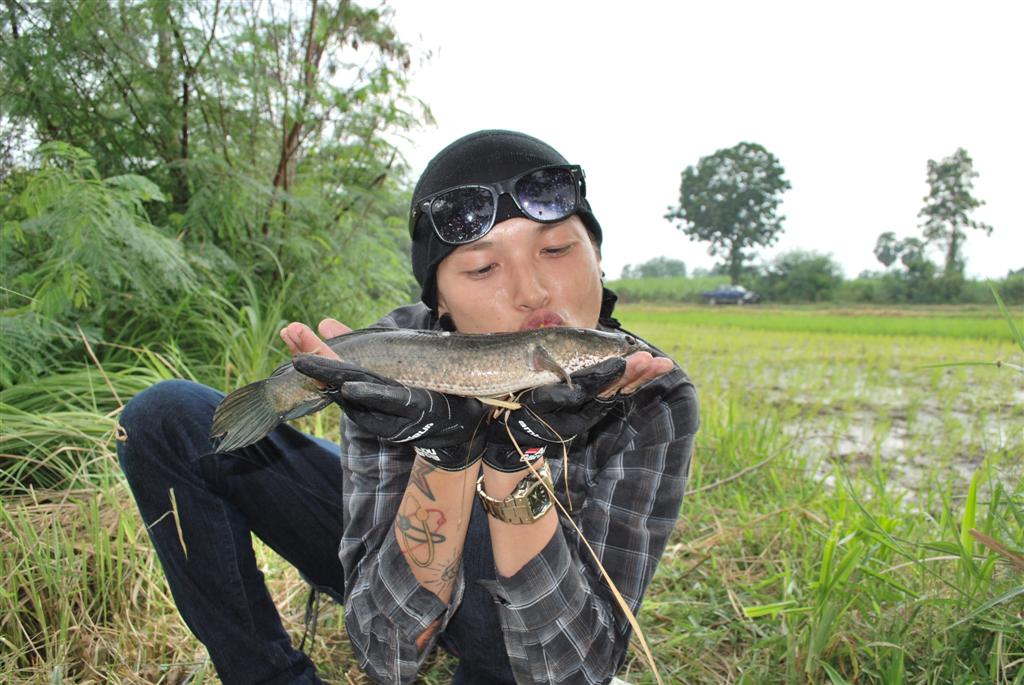 

เลิกรักแระ....น้องบุญนำ.............รักน้องช่อนดีฝ่า