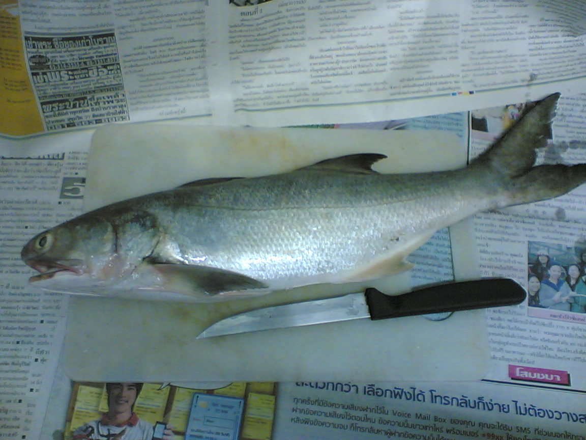 เมื่อตอนเย็นๆ  ได้รับคำสั่งจากคุณแ