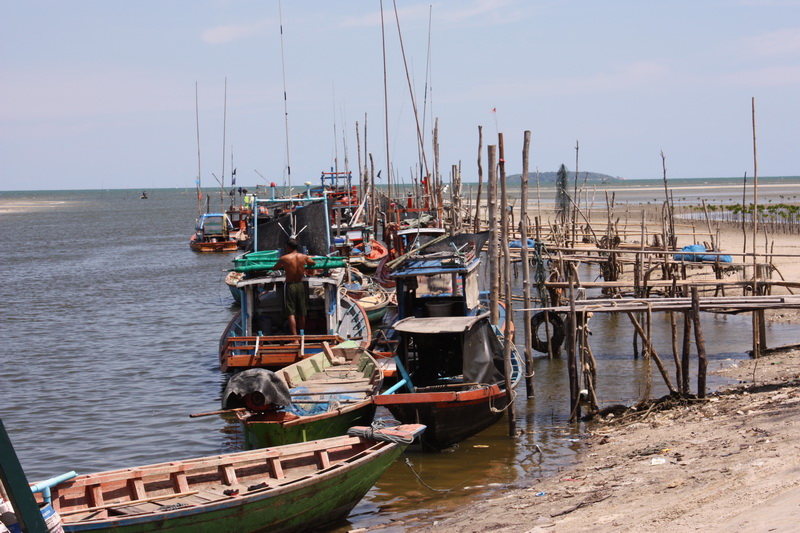 บริเวณท่าเรือถนนกระเพราครับ  เรือจอดกันเพีบยเลย  ลมไม่ค่อยมีไม่รู้กลางทะเลจะมีรึเปล่า