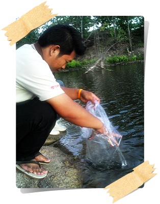 ว่ายออกไปเลยไปหากินกัน :grin: