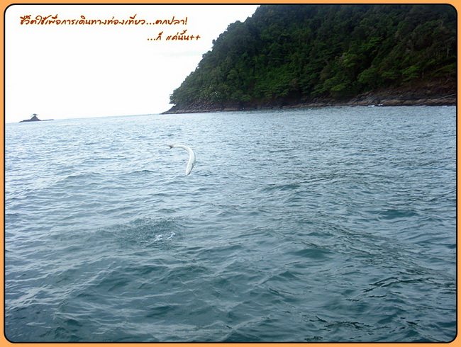 วินาทีนั้น ช่างบ๊อกจับภาพนี้ได้ อา