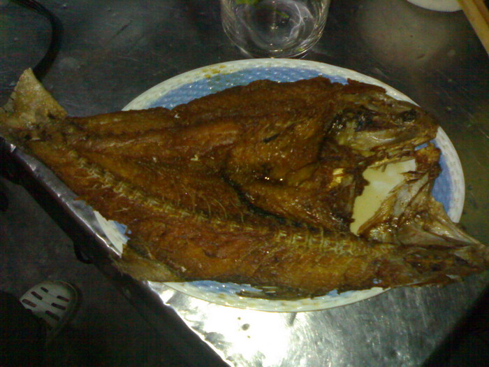  :grin: ลากันด้วย ภาพนี้ครับ   กุเราทอดน้ำปลา   :grin:

 :grin:ขอบคุณ เวปsiamfishing ครับ  ขอบคุณ 