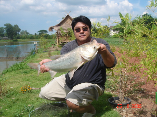 ขอบ้างครับ :smile:

สวัสดีครับ น้าPom_Phimai :blush: