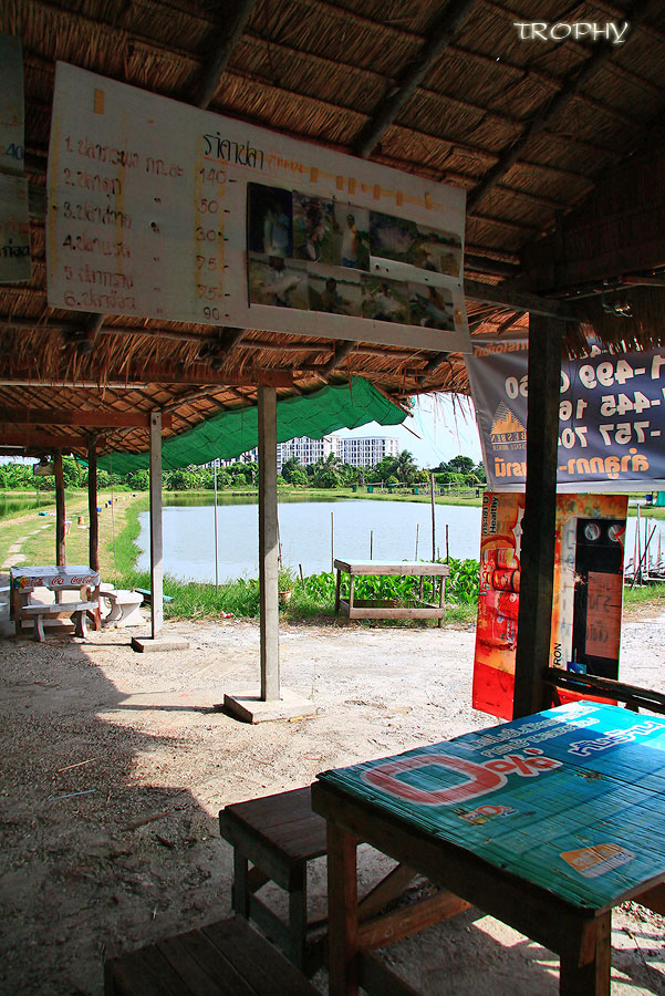 ไปหาดูในร้านก็ไม่เจอใครเลย ดูยังกะบ่อร้าง หรือว่ามาผิดบ่อเนี่ย  :laughing: