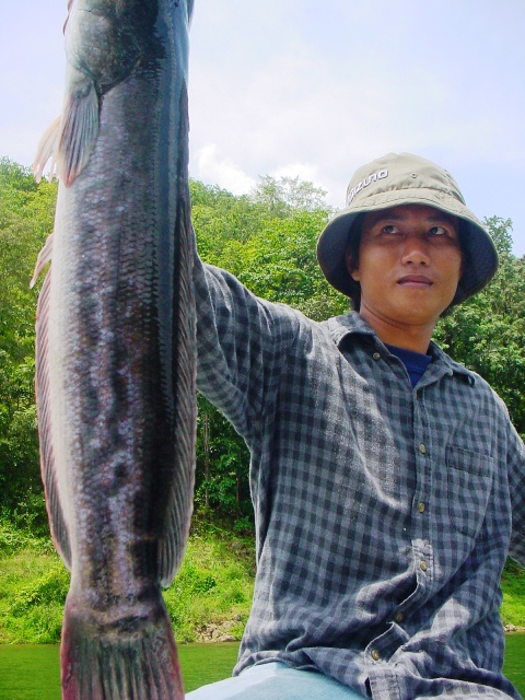 ให้ดูหน้าคนตกก่อนครับ คุณสมพงษ์ P&P fishing

 :cheer: :cheer: :cheer: :cheer: :cheer:
