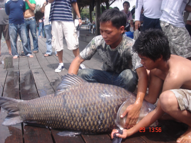 วิ่งหัวบ่อไปกลางบ่อเลย :laughing: :laughing: :laughing: