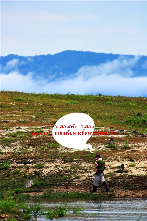 เที่ยงนี้รู้สึกว่าปลามันจะเงียบคร