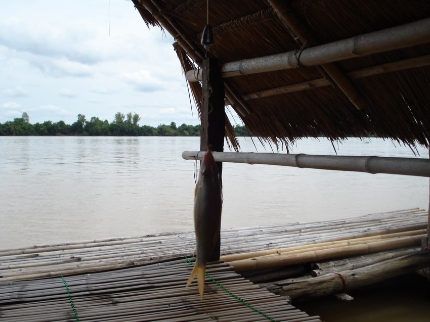 ทันทีทันใด    มานนนก็มาอีกแว้วววว