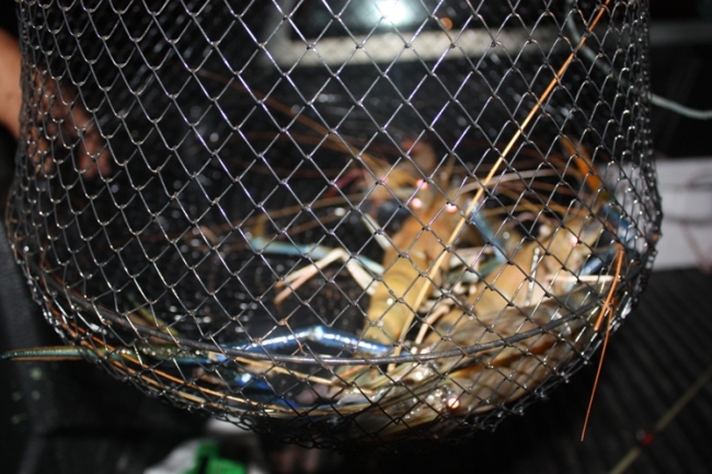 ได้กุ้งมา 5 ตัวคับ