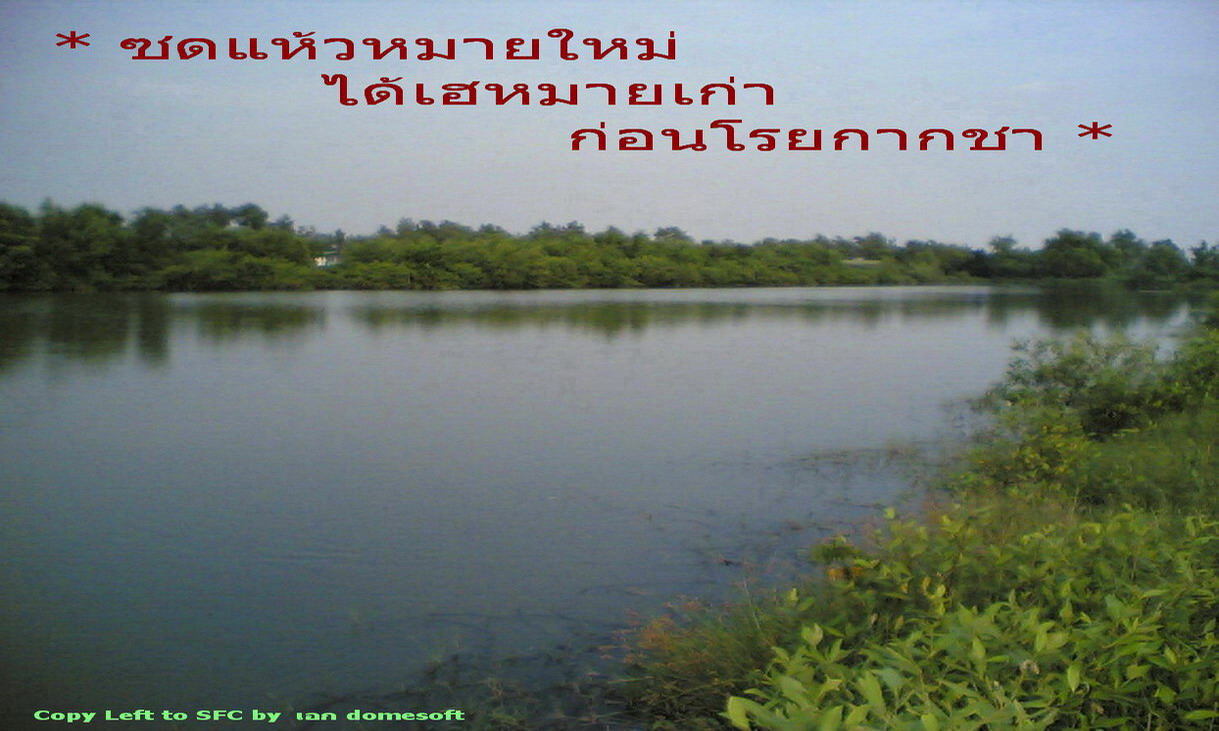 * ซดแห้วหมายใหม่ ได้เฮหมายเก่า ก่อนโรยกากชา *