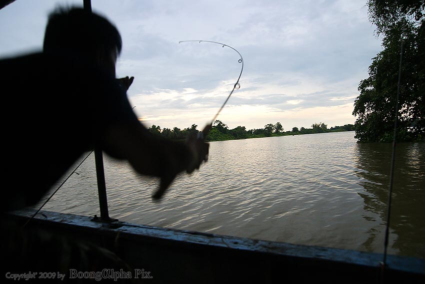 เรือโหลดแป๊กประทุนเตี้ยๆแบบนี้.....จะตีเหยื่อก้อคงไม่งาม.......ต้องใช้วิธีดีดเอา.......
พี่นึกเห็นผ