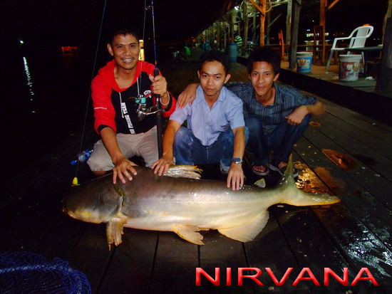 8 กระดานครับพี่น้อง กับรอกที่เน้นงานตกปลาทั่วไปและคัน PE 4  :grin: