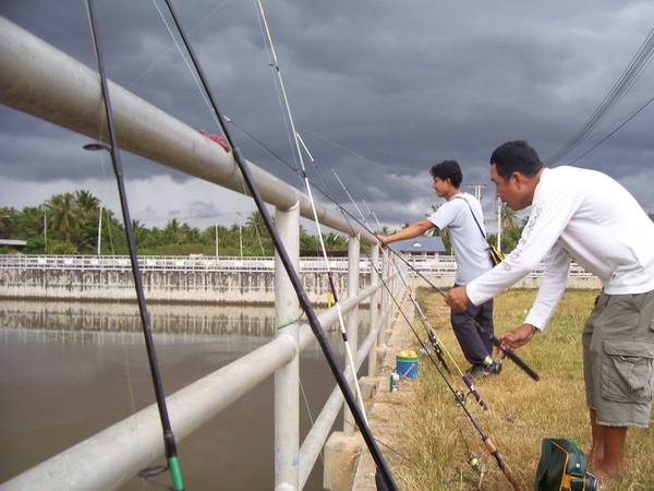 พลพรรคยังไม่เกรงต่ออุปสรรค ยังรอความหวังต่อไปว่าน้องกุ้งจะมาเยี่ยมเยียนเรา :smile: