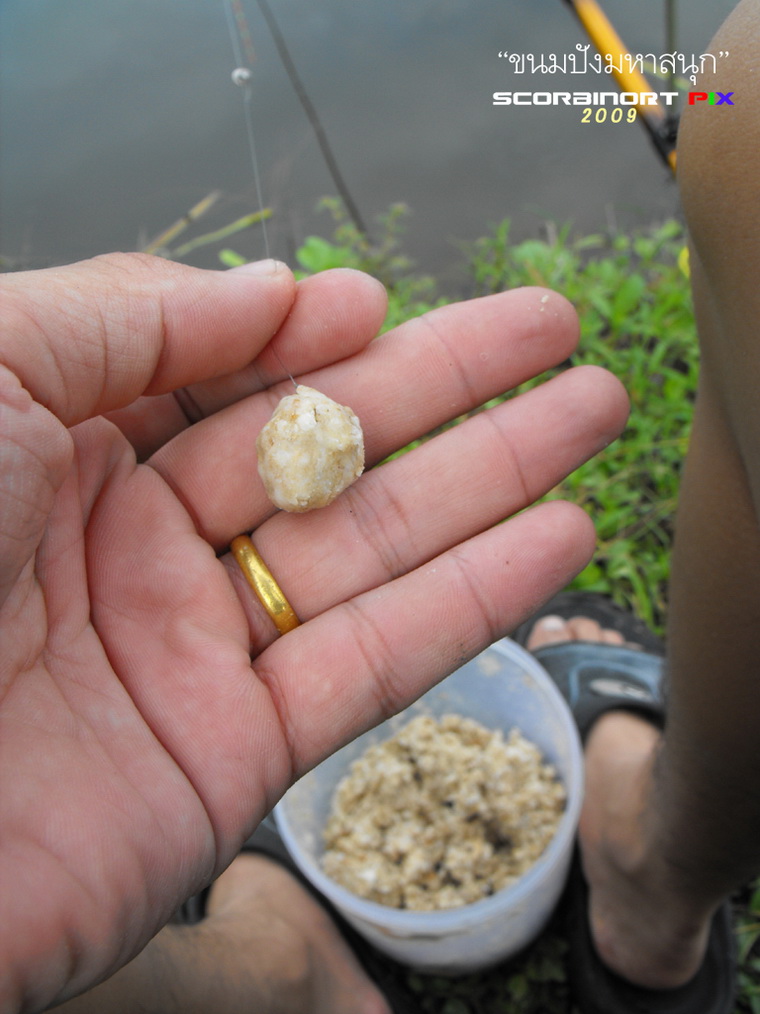 ขอบคุณครับสำหรับกำลังใจ


..... เหยื่อวันนี้ครับ ... ขนมปัง+รำสด+นมกล่องสีเขียวครับ :umh: