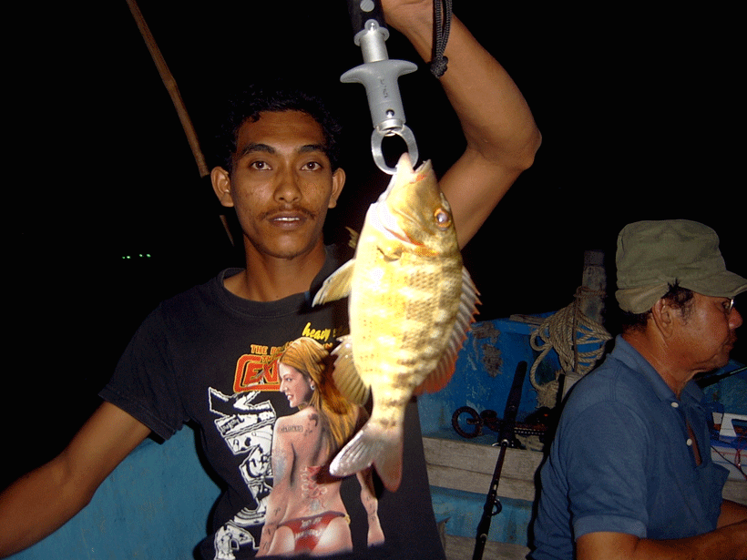  [b]เจ้าโชค กับ หมูสีครับ[/b]