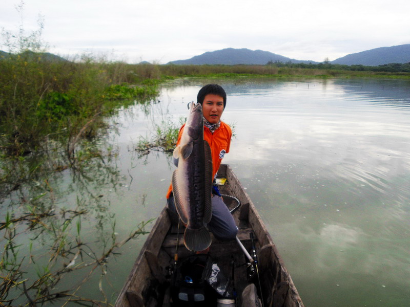 ตัวเดียวแต่หลายรูปครับ :grin: