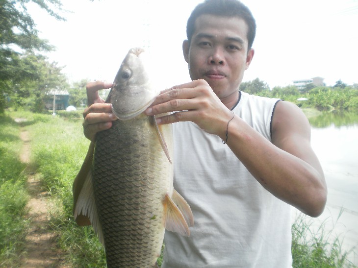 ผมขอถ่ายปลายืมหน่อยครับ :laughing: :laughing: :laughing: