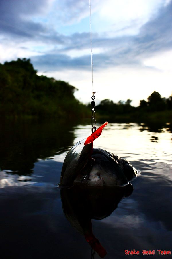 ในช่วงเวลาที่  พยายาม  เก็บภาพ สวยๆ  ม