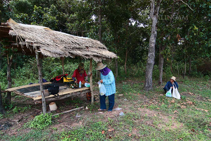 มิตรภาพ  คนอิสาน บ้านเฮา ไม่มีหายไปไหนครับ
  เจอ ป้าๆ ลุงๆ มาเลี้ยงวัว........ใจดีแบ่งกับข้าวมาให้เ