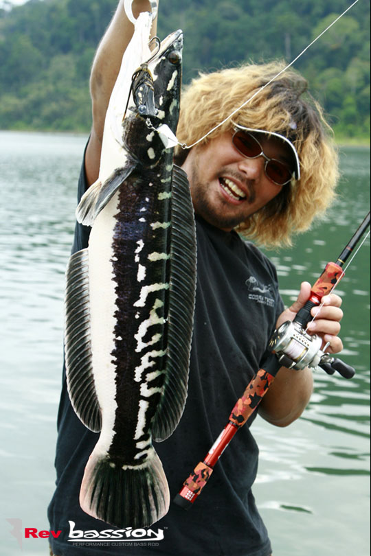 แฮ่ๆ เล็กกว่าของทีม snakehead บาน :grin: