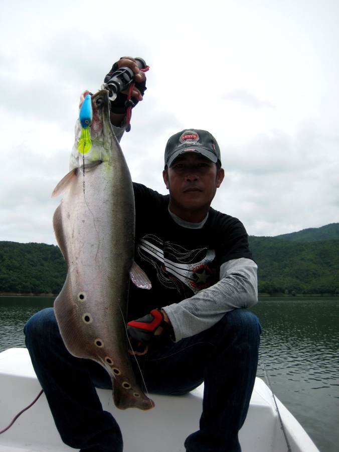 ต่าย_actionlure........สวัสดีครับ น้าต่าย......อีกไม่นานแล้วเด๋วก็เจ๊อะกัน
 :grin: :grin: :grin:

