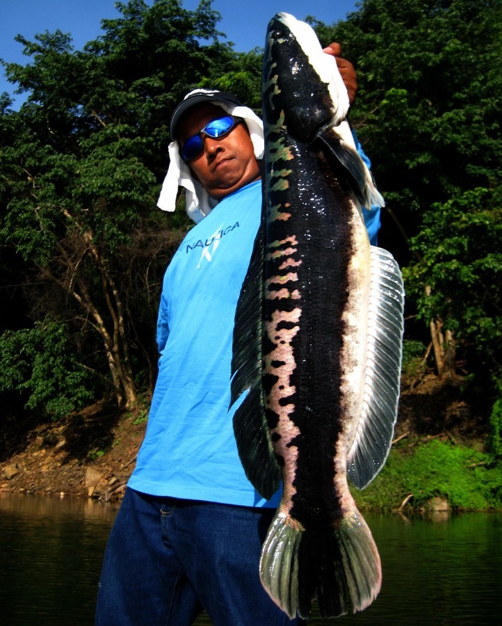  [q]Mong_Actionlure.........ก็ไปเลาะหาตีกระสูบมาครับ