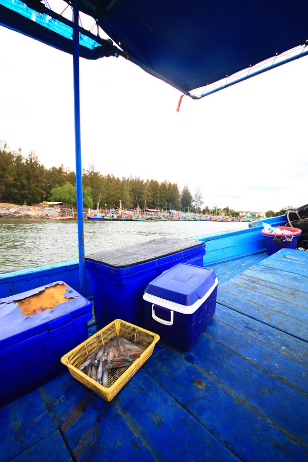 ถูท้ายเรือเสร็จ ก้อมาช้อนหมึกเป็นที่เหลือ เตรียมเอาใส่ถุงกลับกรุงเทพ
 
เหลือประมาณ 20 ตัวได้....ได