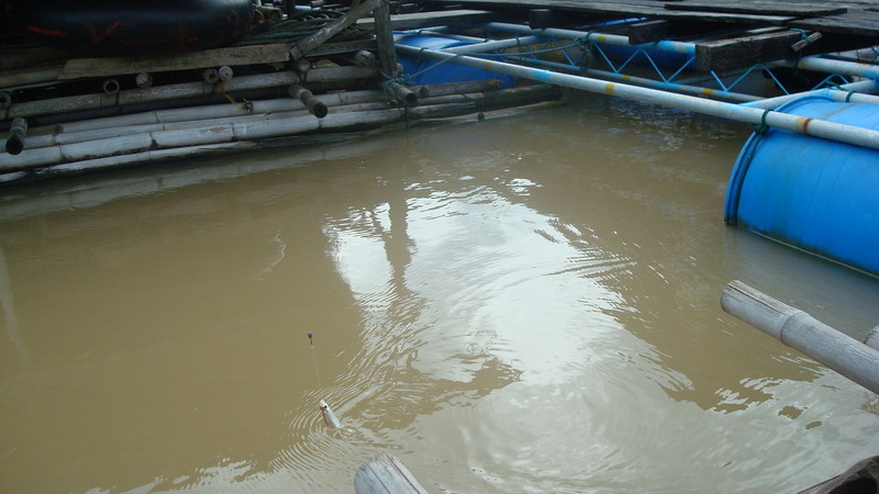 อ้าวไม่ทันไร   สอยมาอีกละ

ไรว้า...ยังไม่ได้ซักตัวเลยย :cry: :cry: :cry: :cry:

สงสัยวันนี้จะโดน