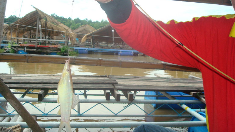 ปลาหมูอ้วนๆเลยเนี่ย

 :smile:
