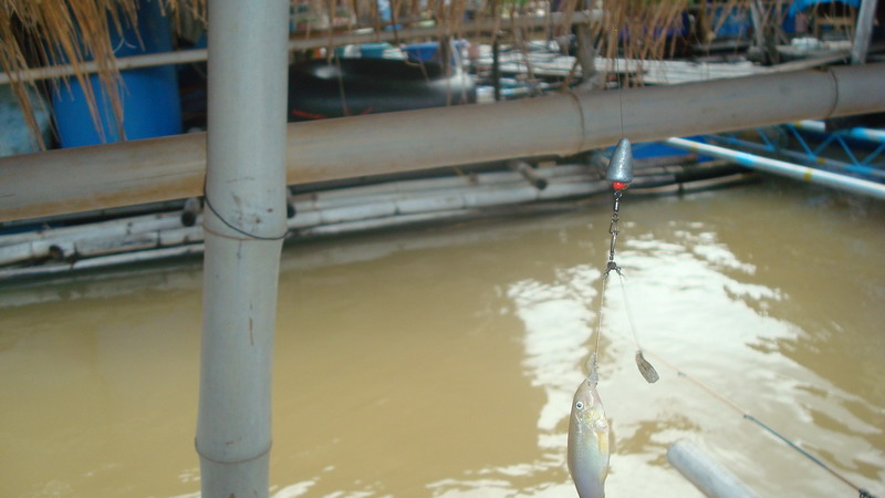 ครวนี้มาดูของผมบ้างงิ