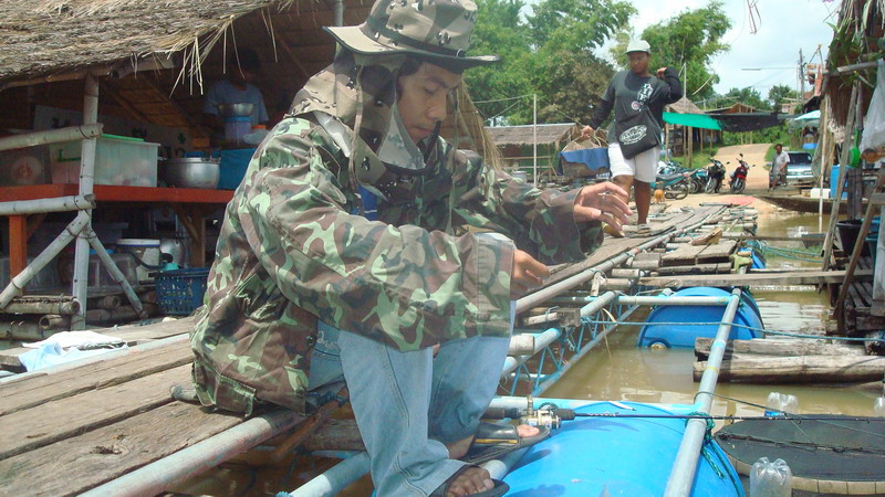 สวัสดีครับน้า arr tt

สวัสดีครับ น้า patipon rodpon


คราวนี้ลองตากแดดดูบ้าง   


ปลาหมูของเ
