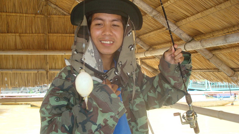 เค้าจาเอาปลาหมูๆ  ไม่เอาปักเป้าๆ  งือๆ
