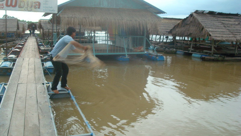 บ่นงึมงำ    เบิ่งง  ปลามันใปใส  มันสิใ