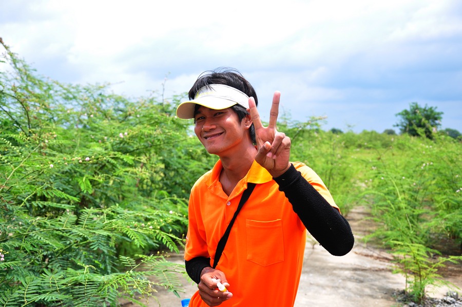 นายจอทำสัญลักษณ์แบบนี้แสดงว่าได้ป