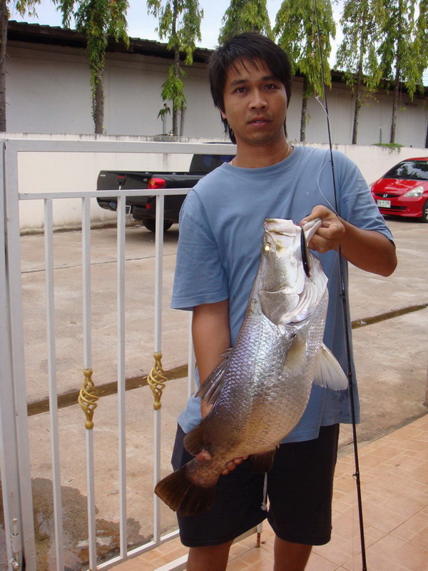 โทษทีครับลงรูปยังไม่เสร็จ พอดีไปตีปลาช่อนมา :umh: :umh: