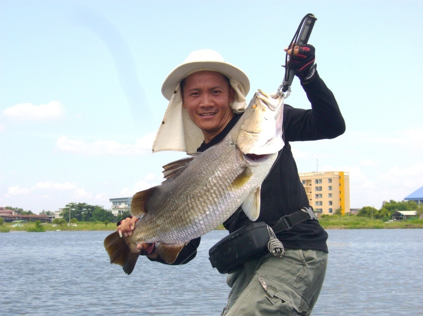 โปรป้อม......ของจริง...ของแท้....แน่นอน :laughing: :laughing: :laughing: