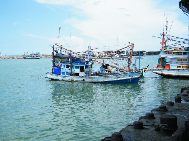 เดินชมท่าเรือกันเพลินเลยครับ