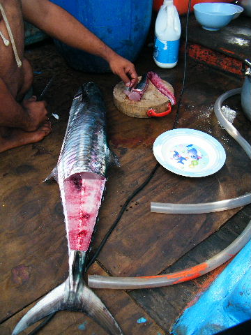 โดนครับ ขึ้นมาปุ้ปโดนปั้ปเลย อินทรีย์ ตัวนี้