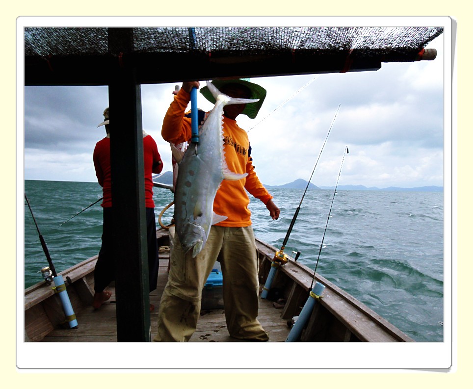 เหยื่อปลาสีกุนตัวใหญ่โคดๆ ประมาณว่าถ้าเอามาลอยฝั่งอ่าวไทยทั้งวัน ก็คงไม่มีตัวอะไรมากิน :ohh: :ohh: