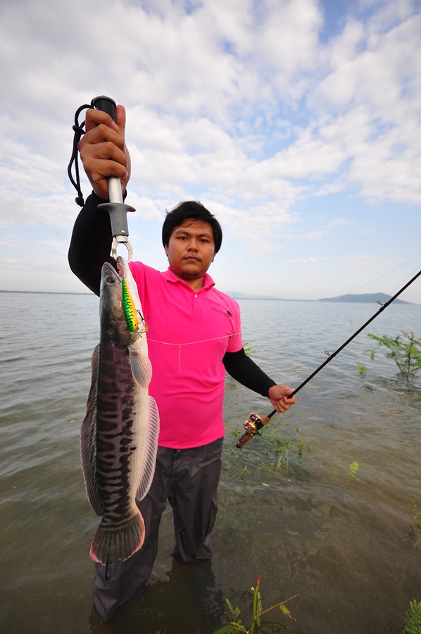 อิอิอิ...........อย่างน้อยวันนี้Actionlure ก็ไม่