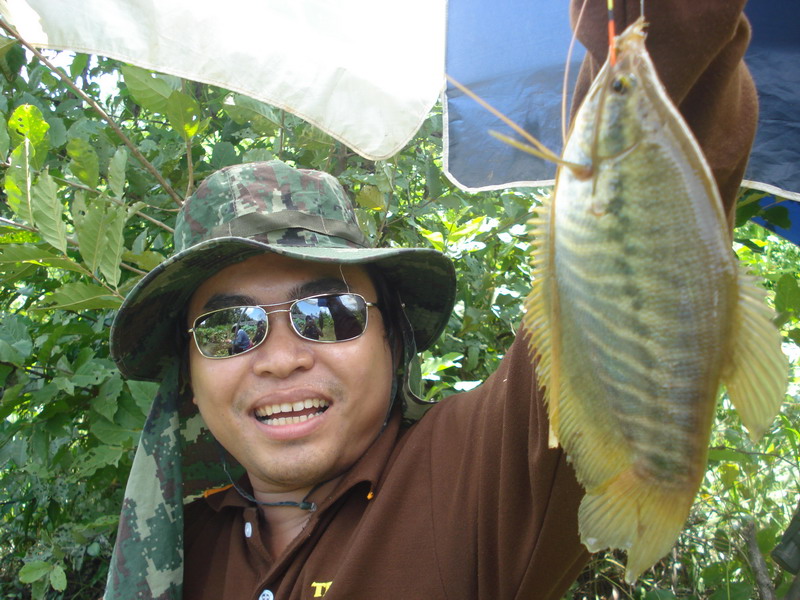 ..ยกขบวนซ่าส์..ท้าปลาสลิด..