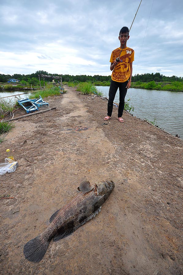 จัดแบบโปรไปซ๊ะ 1 ภาพ  :laughing: :laughing: :laughing: :laughing: