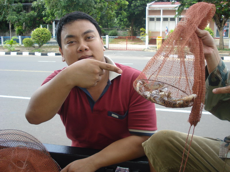 ปลาหมอจ้อย   ของน้าจั่วน้อยครับ  ขาก