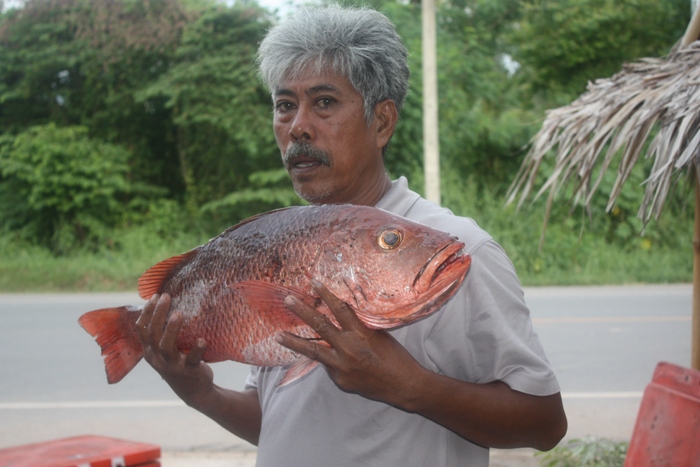 ลากันด้วยภาพหัวหน้าทีมของเรากับแดงเขี้ยวตัวงาม  
ขอขอบคุณทุกฯท่านที่เข้ามาเยี่ยมชมและทุกคะแนนโหวต 
