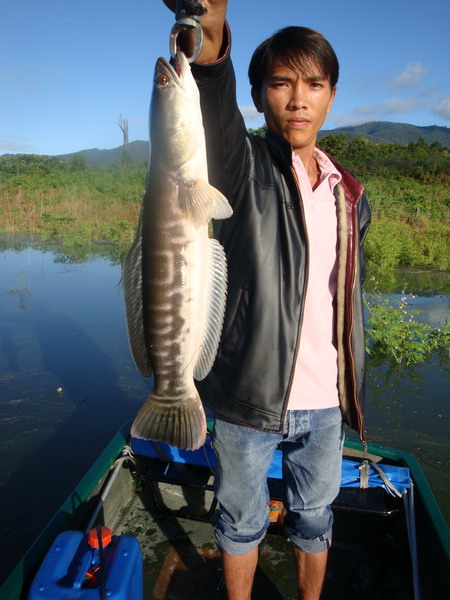อีกท่า หน่อย  :cheer: