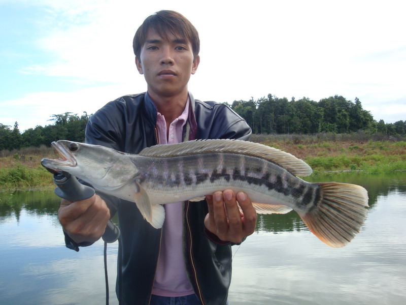 เมื่อไหร่ ที่ไร้เด็ก จะรู้และเข้าใ