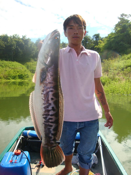 มีหลายภาพ จัดไป.......
