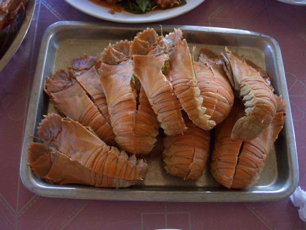 สวัสดีครับน้า คนสู้ไฟ ข้าวโถนึงเลยดีกว่าครับกับข้าวมีอีกหลายอย่าง
---------------------------------